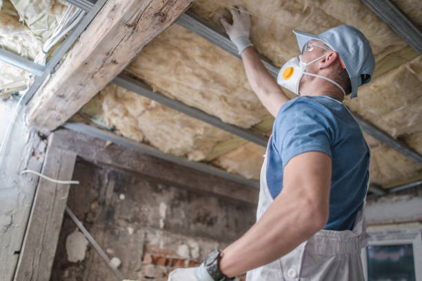 Best Geographic-Specific Insulation Services in Highland, AR